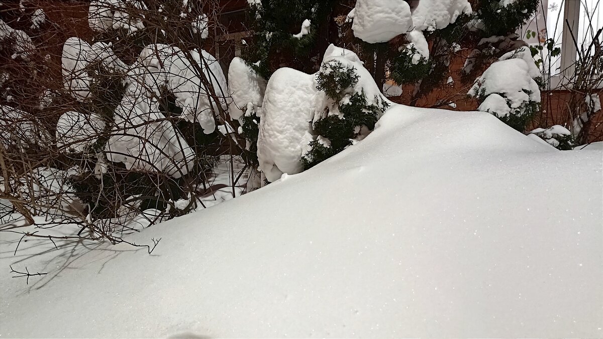 Снег у подъезда - Татьяна Тюменка