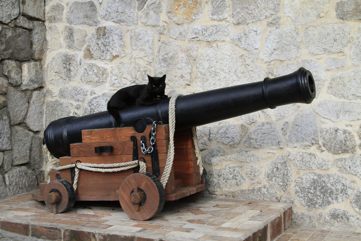 Пират - Геннадий Валеев