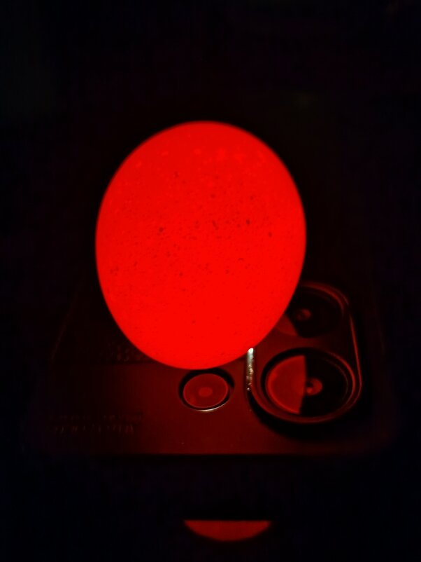 Ночная фотография - светлана льдокова