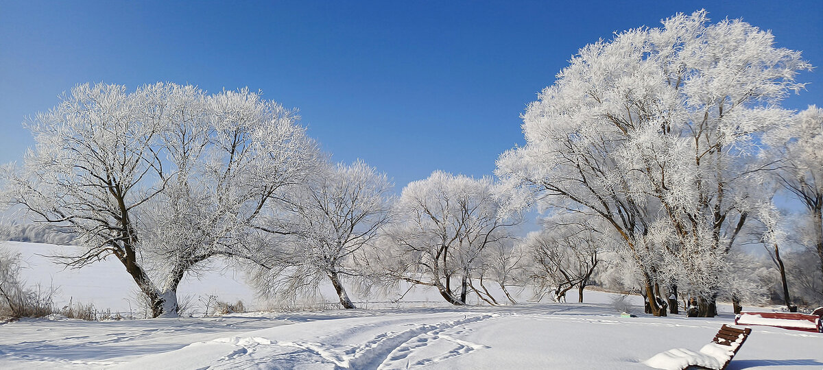 Дорога к озеру - Игорь Сычёв