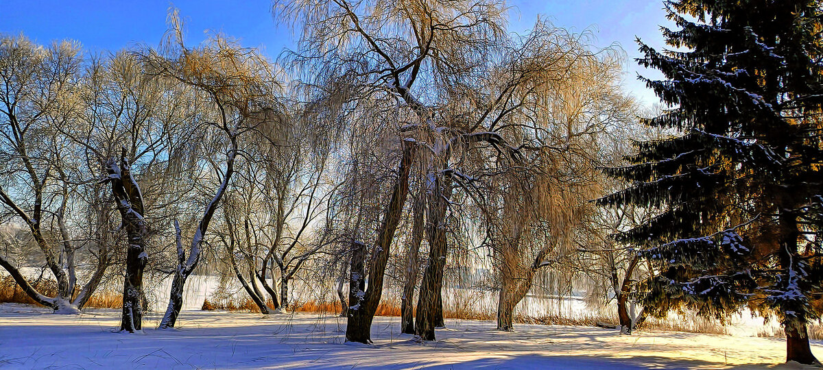 На берегу озера - Игорь Сычёв