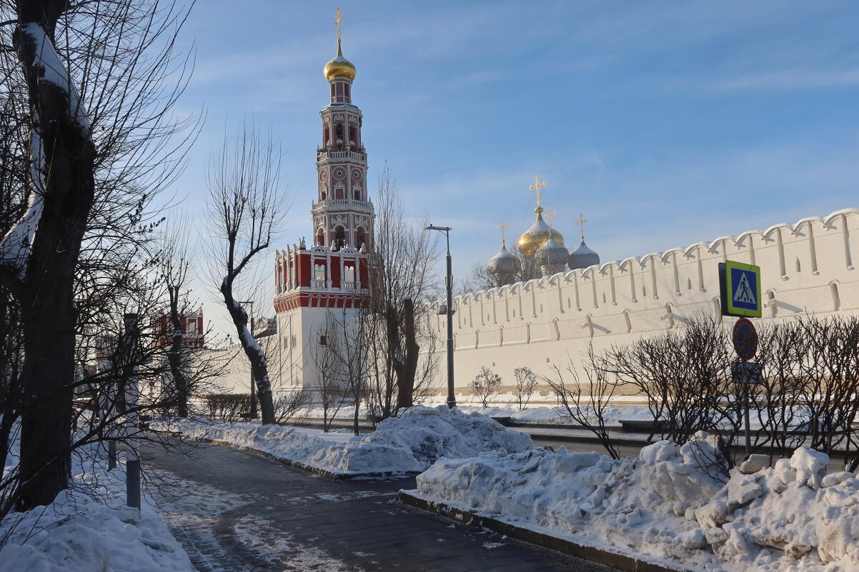 Новодевичий монастырь - Дмитрий И_