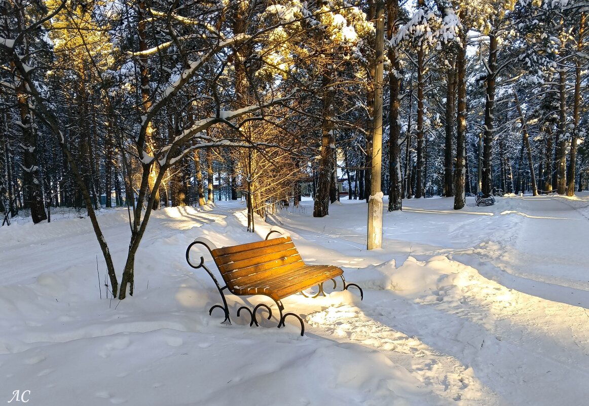 Скамейка в лучах зимнего солнца - Любовь Сахарова