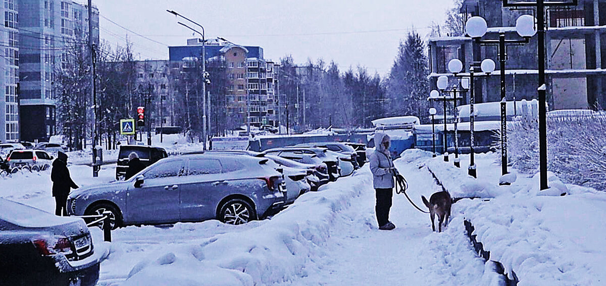 Вид на улицу Нефтяников со стороны сквера Победы! - Владимир 