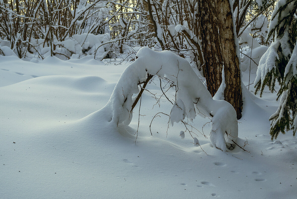Зима - Сергей Цветков