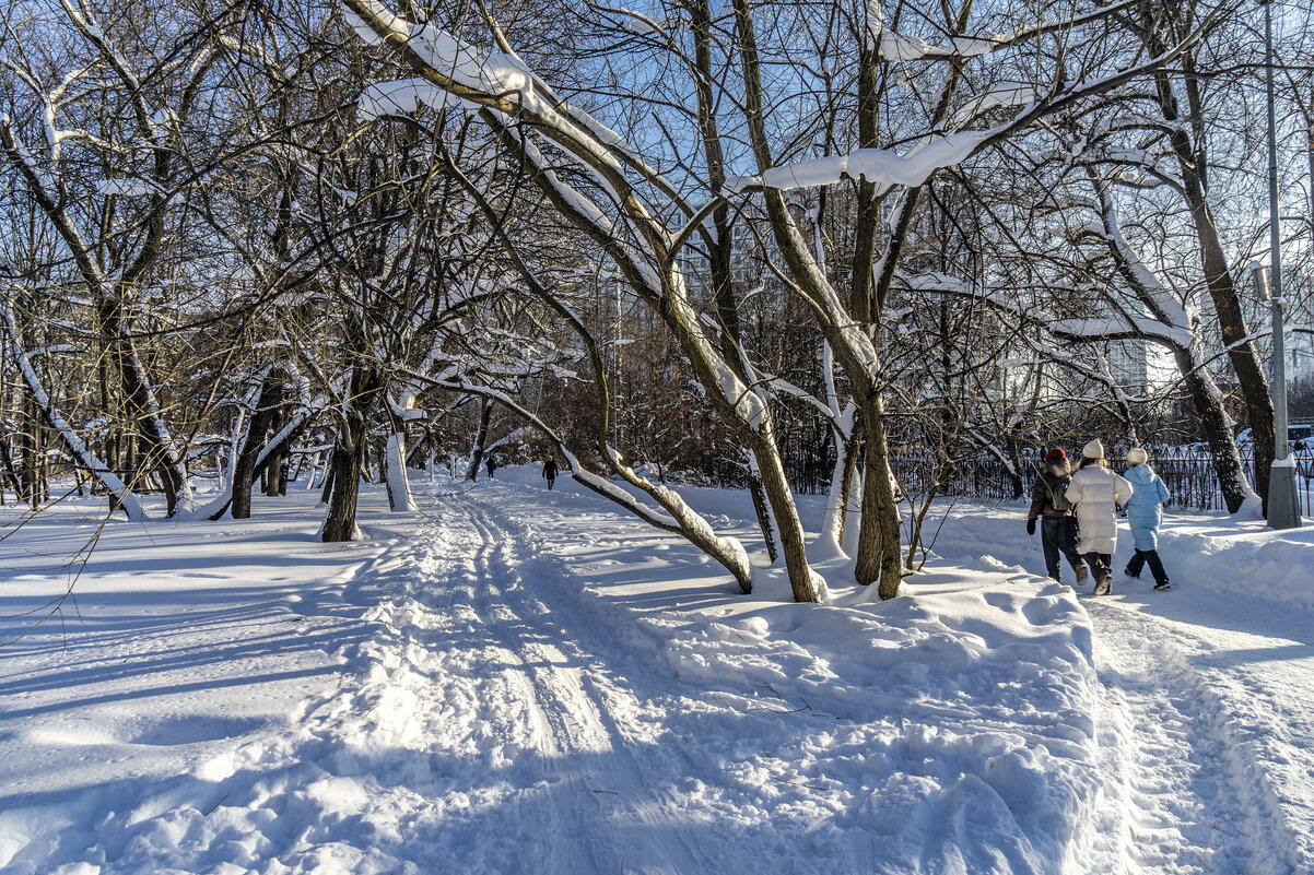 В  Воронцовском парке - Владимир Езеров 