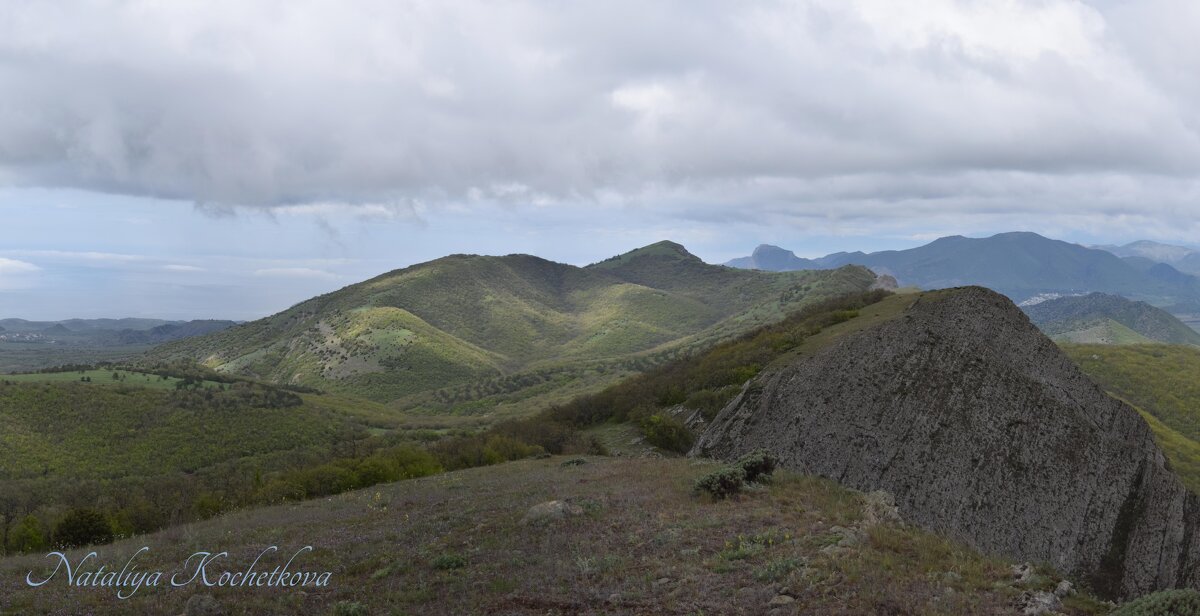 Природа Крыма - Amazing Cosmea