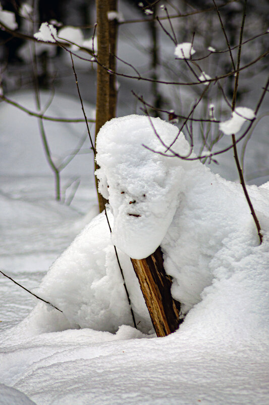 Снежный человек - Александр Силинский