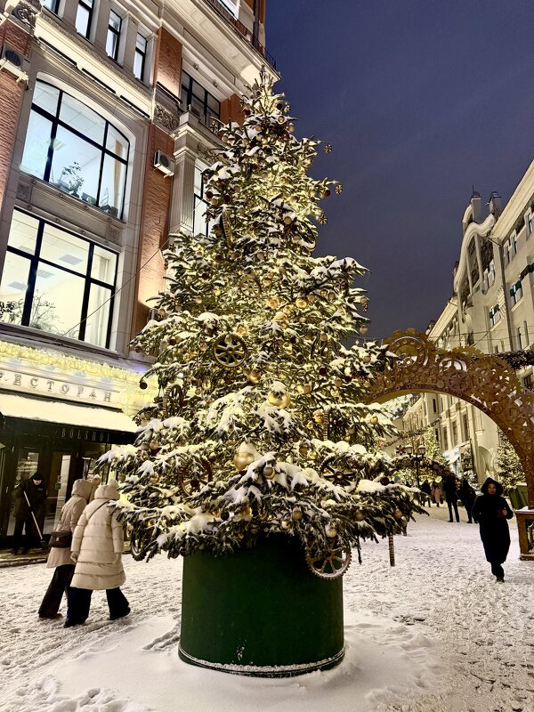 Зимняя сказка 2026 - Iren Brilliance