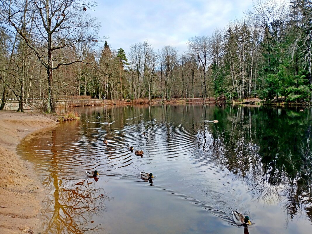 Всдед за вожаком. - Лия ☼