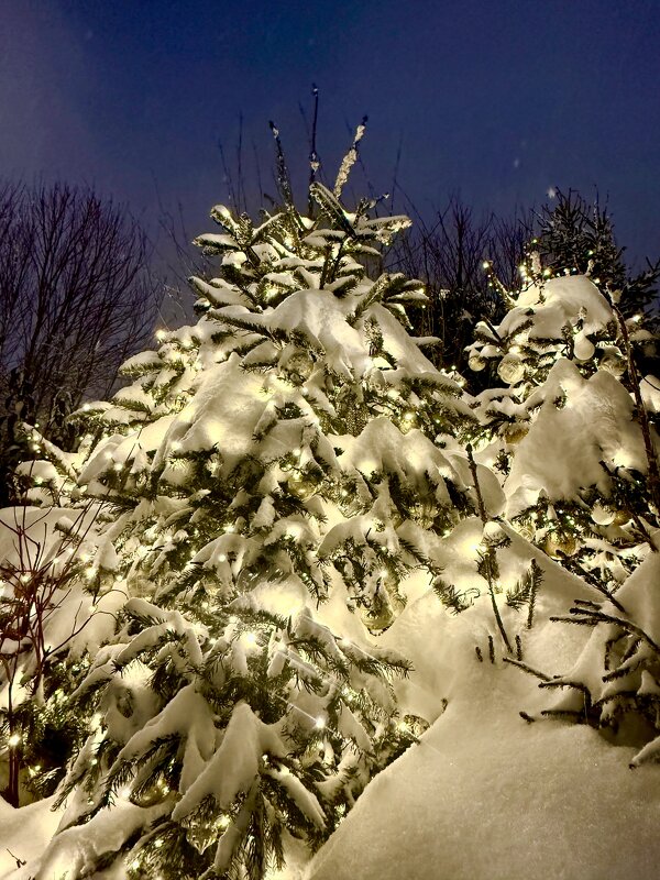 Зимняя сказка 2026 - Iren Brilliance