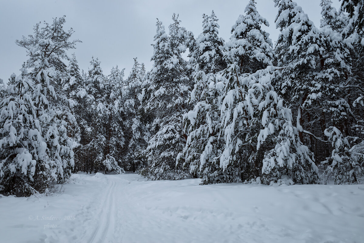 Пейзаж зимы - Александр Синдерёв