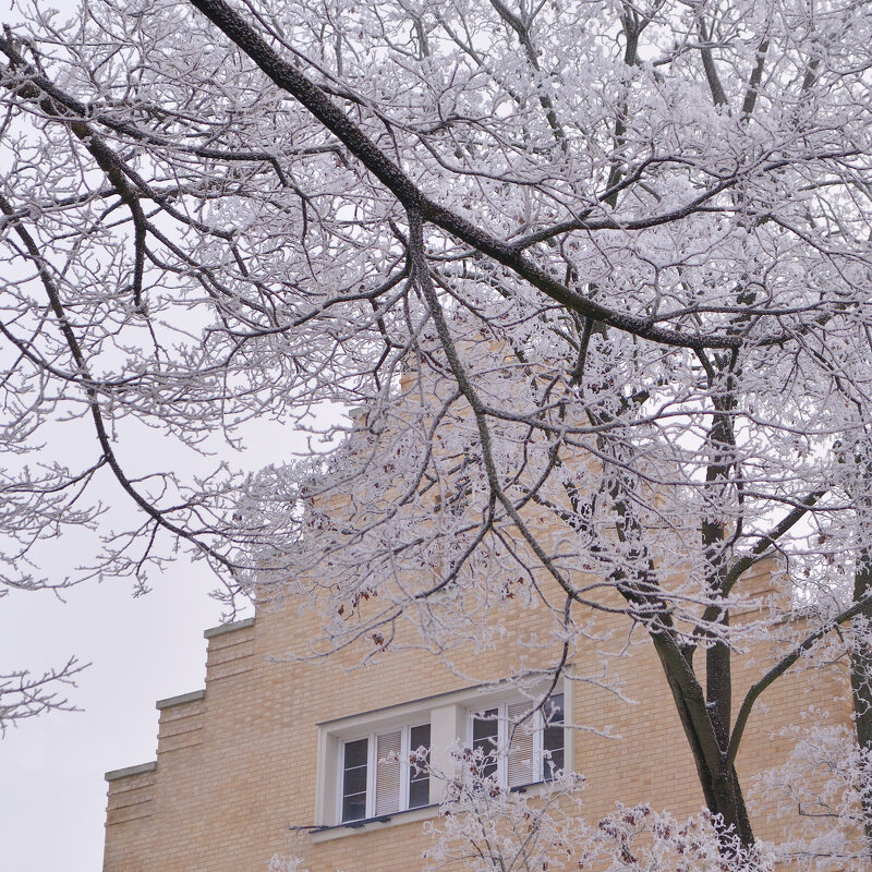Зима в городе. - Константин Белоногов