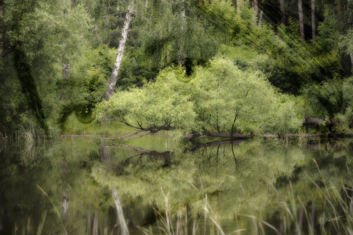 У беды глаза зелёные... или ушедшая душа русалки... - Александр Беляков