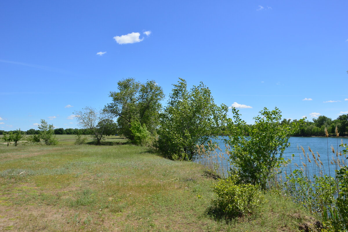 У реки. - Виктор 