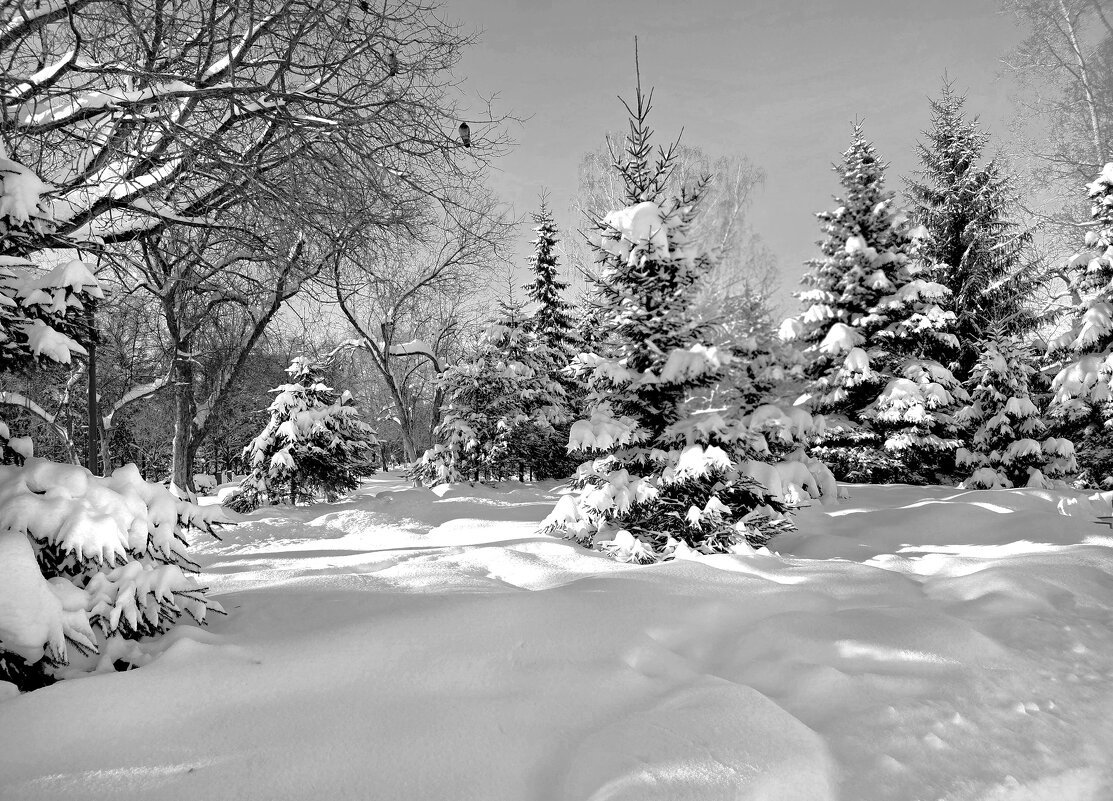 . - РИТА ЛЕВКОВА