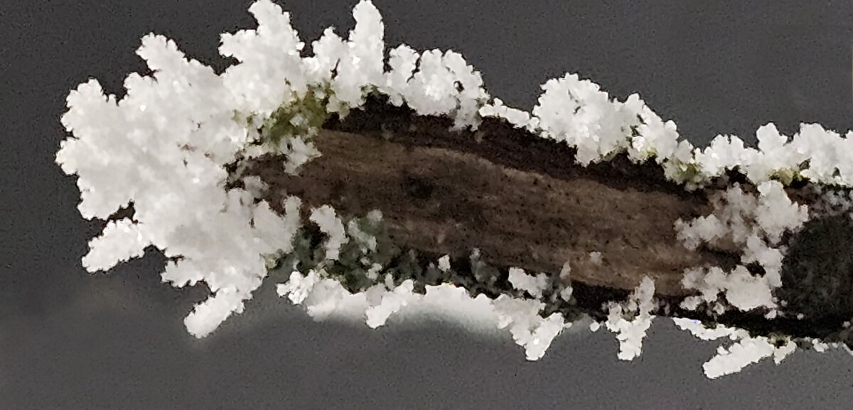 Мороз и иней - Михаил Свиденцов