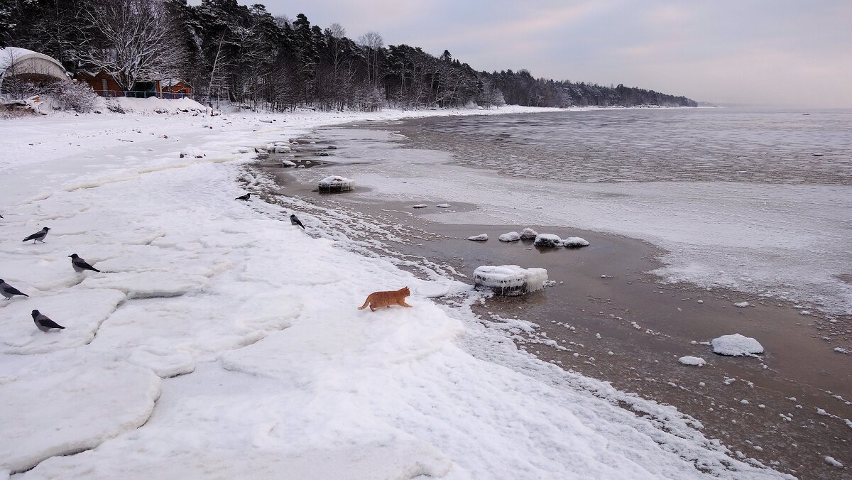 Когда на залив приходит отлив... - Sergey Gordoff