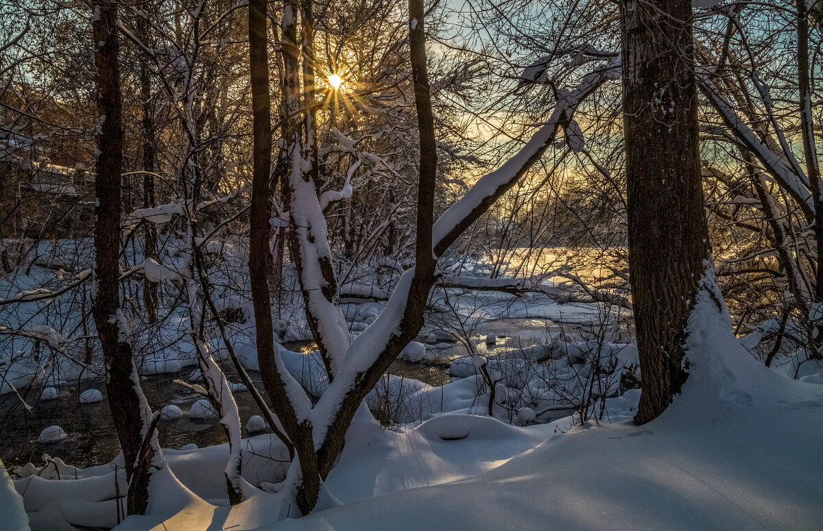 Мороз и Солнце 4 - Андрей Дворников Мороз и Солнце 4 - Андрей Дворников