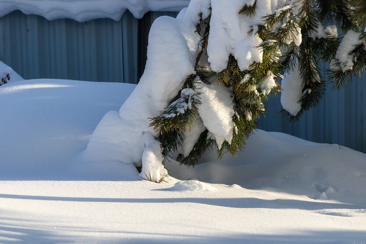 *** - Анатолий. Chesnavik.