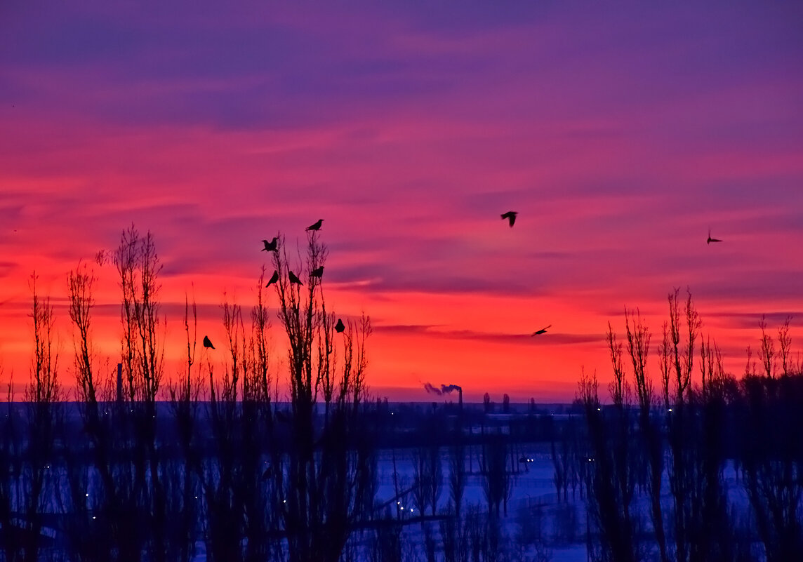 Утро начинается с рассвета... - Валентина Нефёдова Утро начинается с рассвета... - Валентина Нефёдова