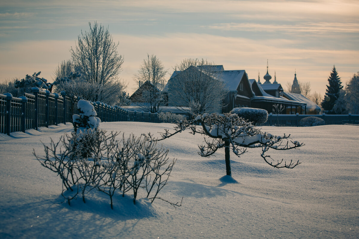 Зимний день в Суздале - Вячеслав Владимирович