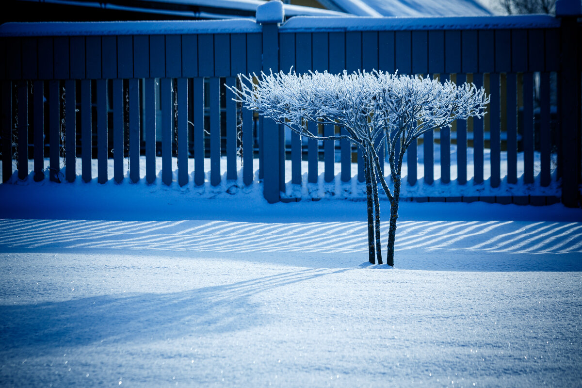 Зима. Ритм. Суздаль - Вячеслав Владимирович Зима. Ритм. Суздаль - Вячеслав Владимирович