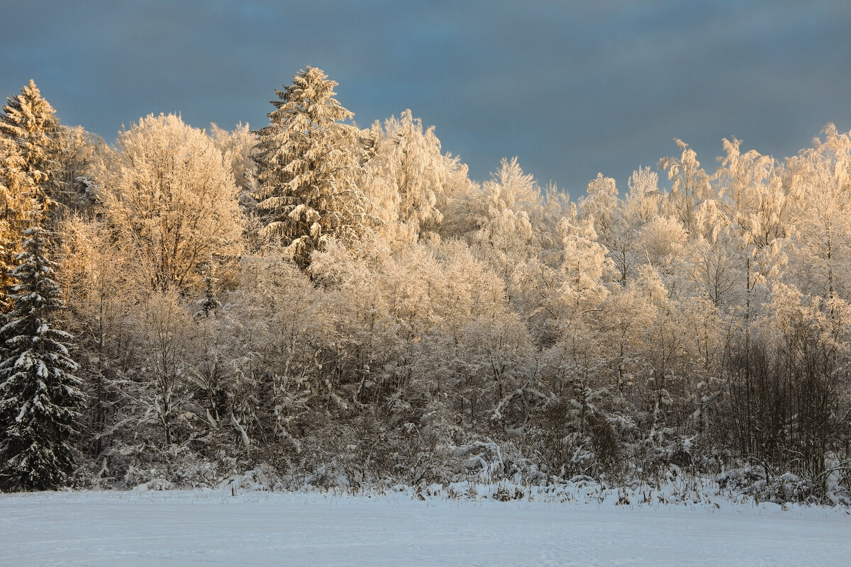 Вартемягское озеро - skijumper Иванов Вартемягское озеро - skijumper Иванов