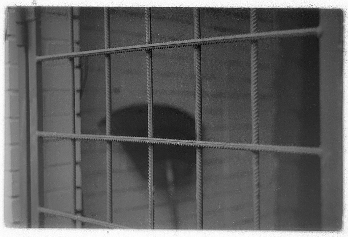 №212 - Alex Bes №212 - Alex Bes