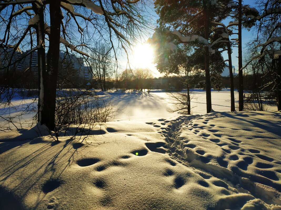 Ну вот и настоящая зима - Андрей Лукьянов Ну вот и настоящая зима - Андрей Лукьянов