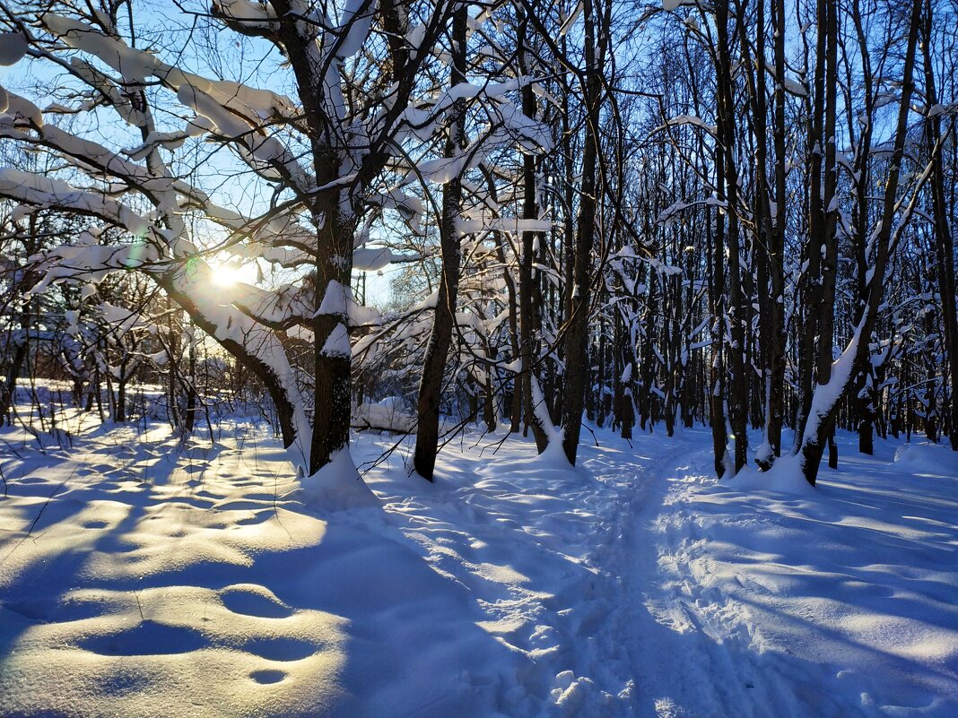 Ну вот и настоящая зима - Андрей Лукьянов