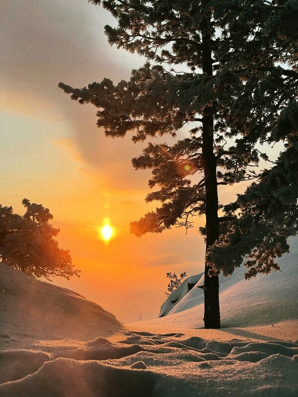 Зимний закат - Георгиевич Зимний закат - Георгиевич