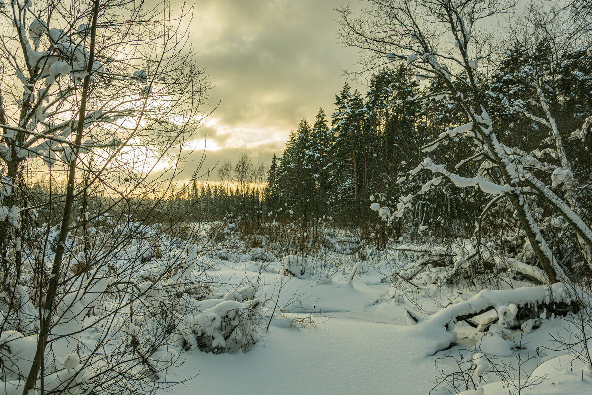 Тропою света.... - Александр Филатов