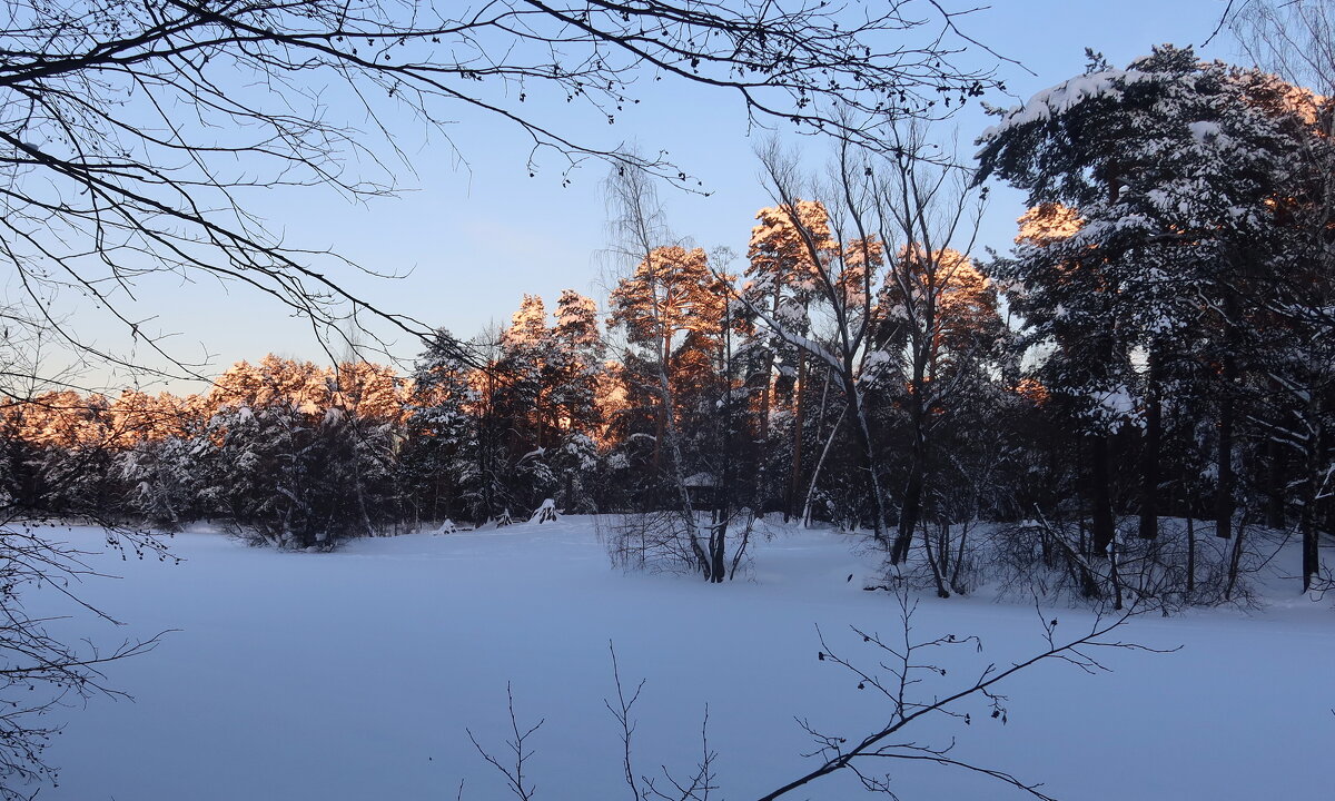Зимний вечер - Дмитрий И_