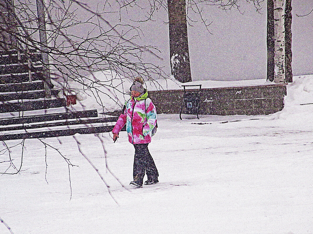 Январь...Нефтеюганская снегурочка! - Владимир Январь...Нефтеюганская снегурочка! - Владимир