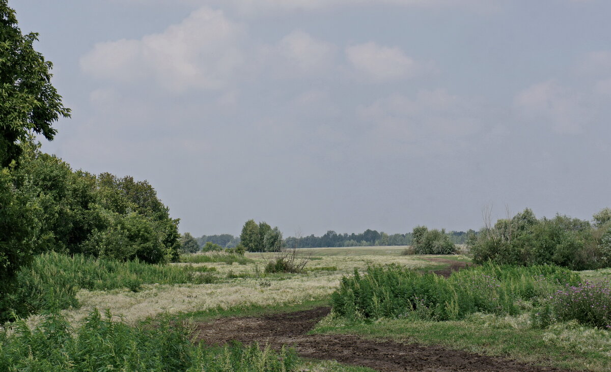 И было лето. - сергей ермошкин