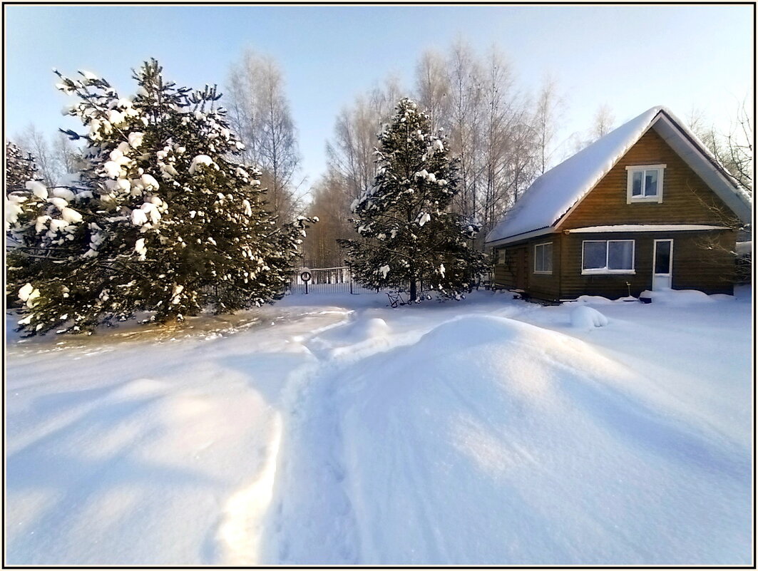 Зимнее утро - Ольга Довженко