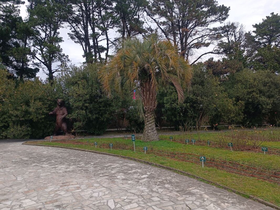 Медведь зимой не спит - Serega SchütZ