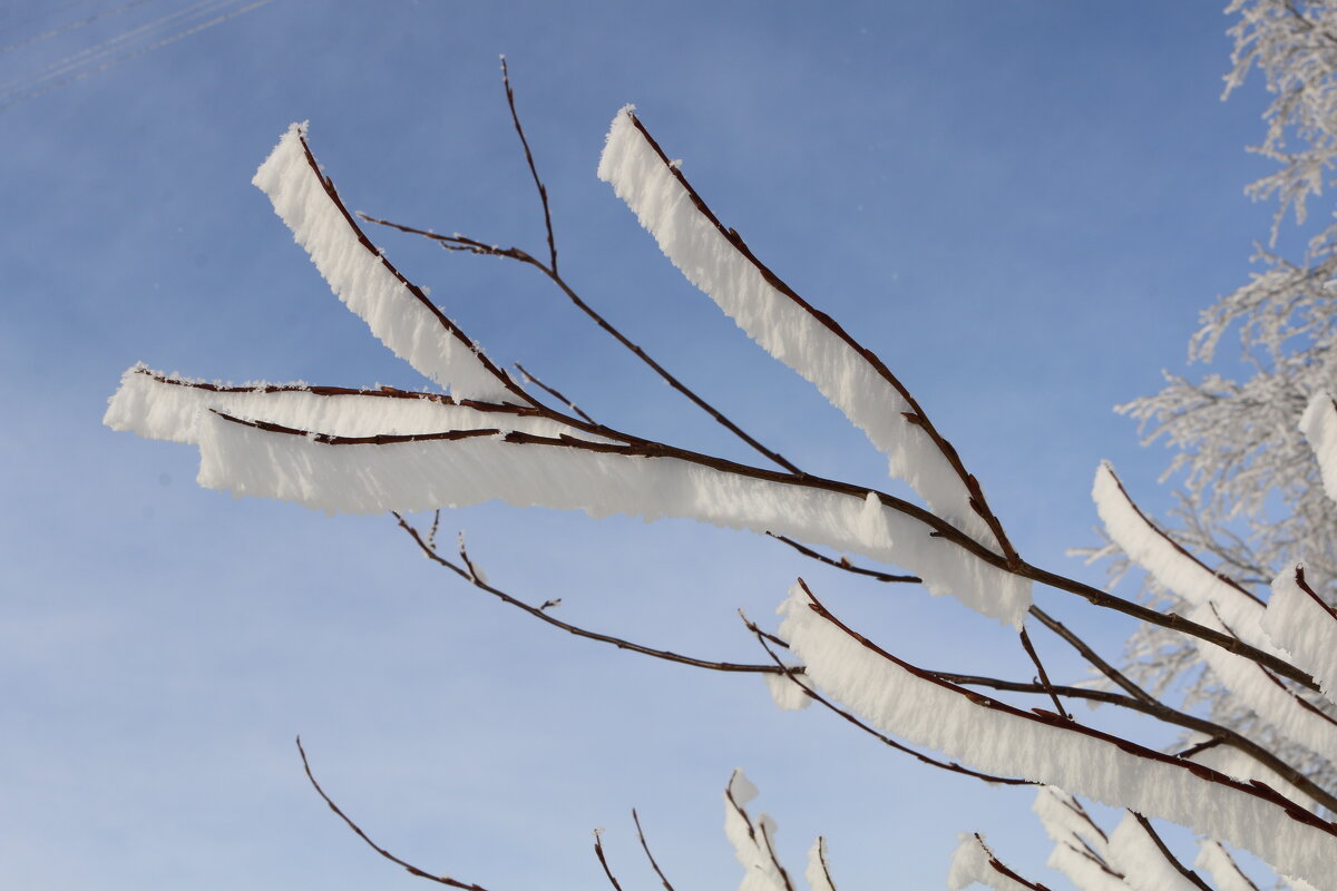 Оборочки инея - Ольга Оборочки инея - Ольга