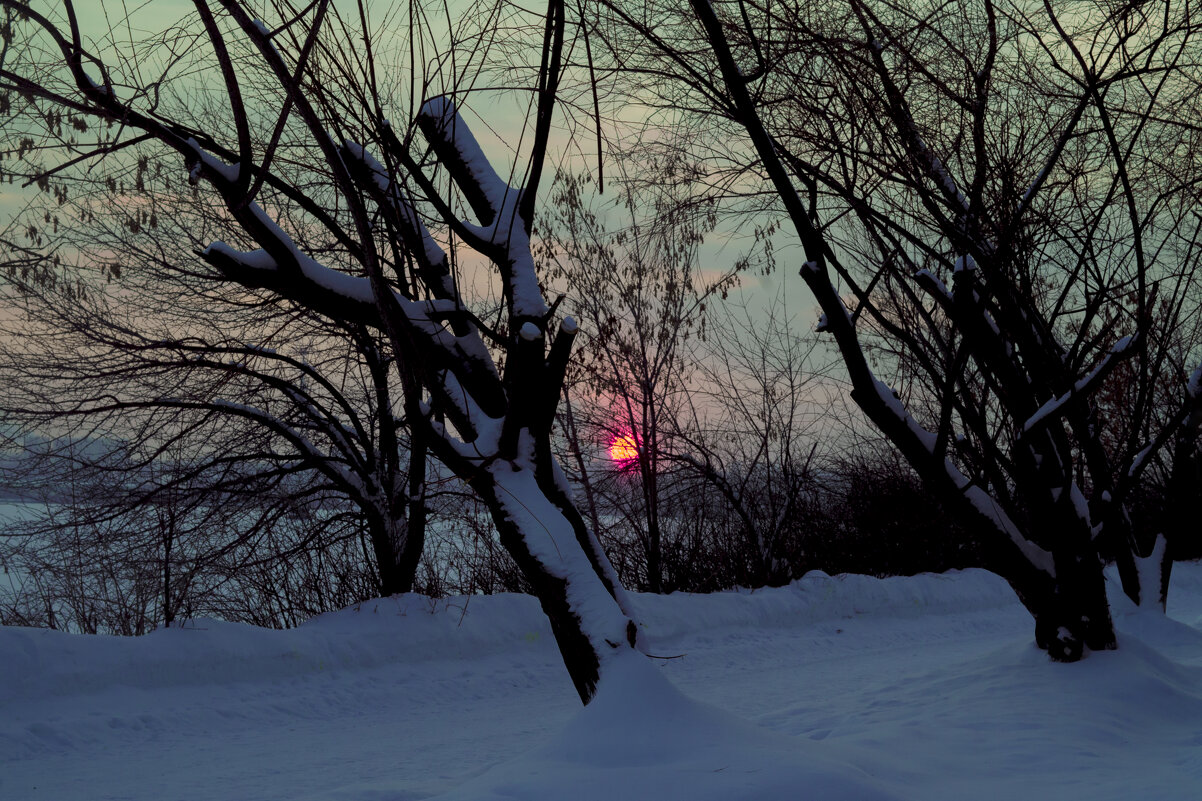 Зима, Январь  - Последняя минута закатА - Владимир Максимов