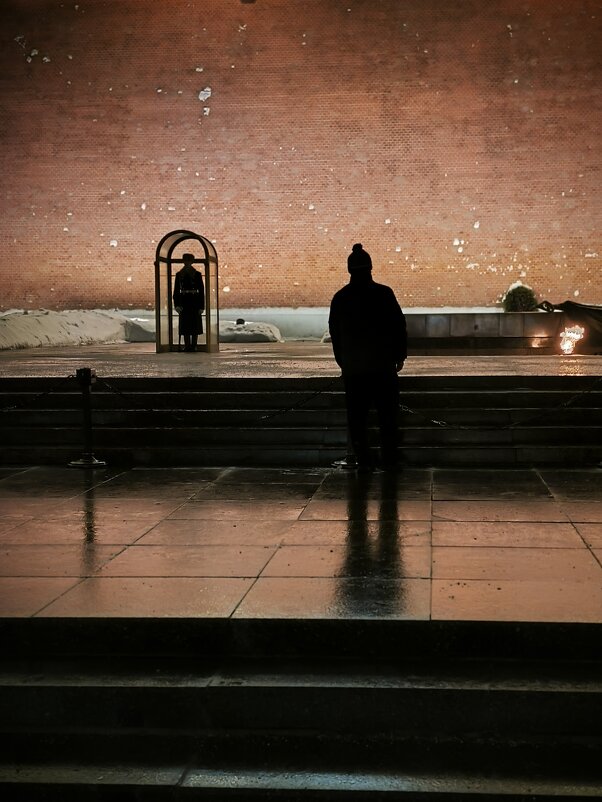 *** - Сергей Полянский