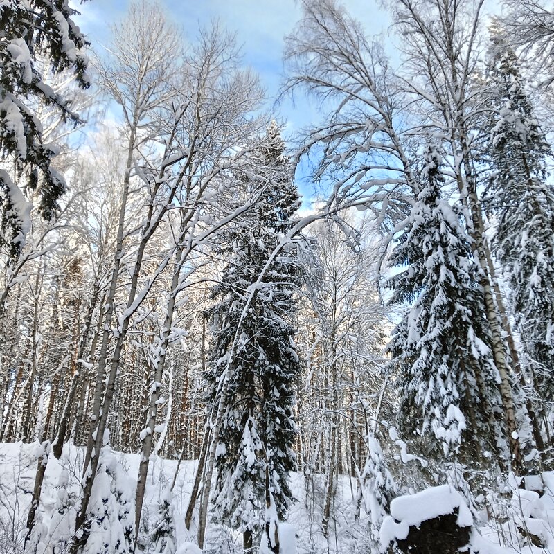 зимний пейзаж - Владимир зимний пейзаж - Владимир