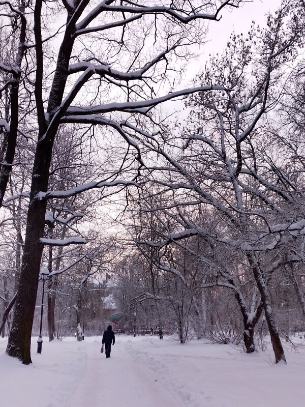 *** - Валентина Береснева