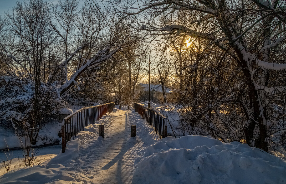Мороз и солнце 5 - Андрей Дворников