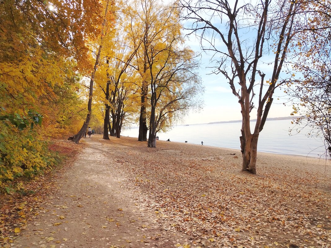 Волга осенью. - Надежда 