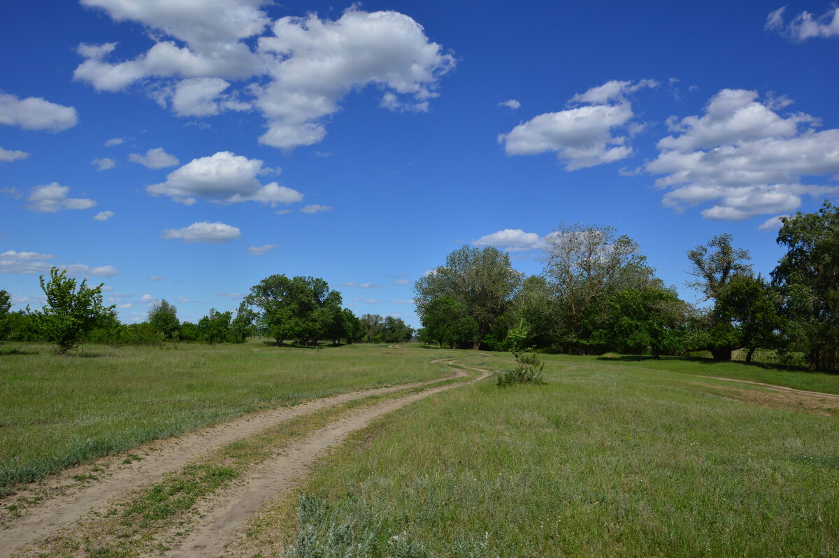 Мои дороги. - Виктор 