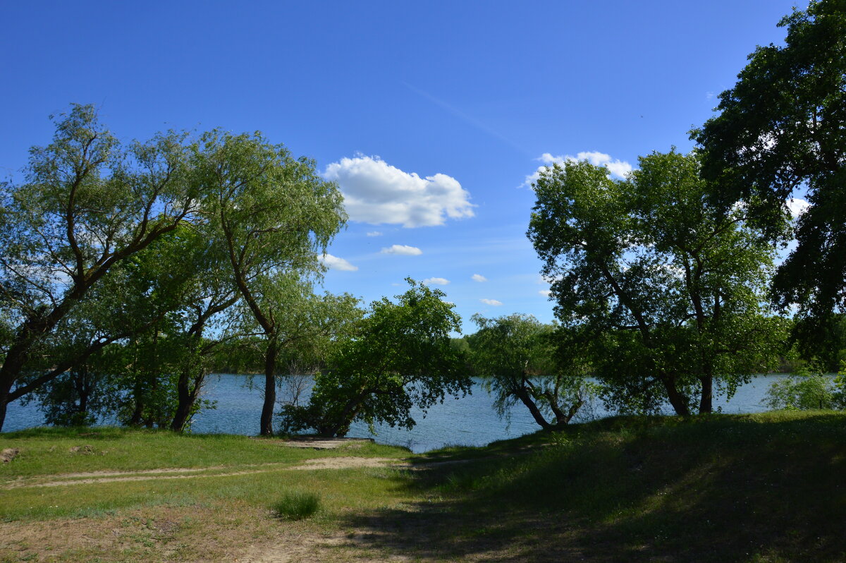 Донские виды.. - Виктор 