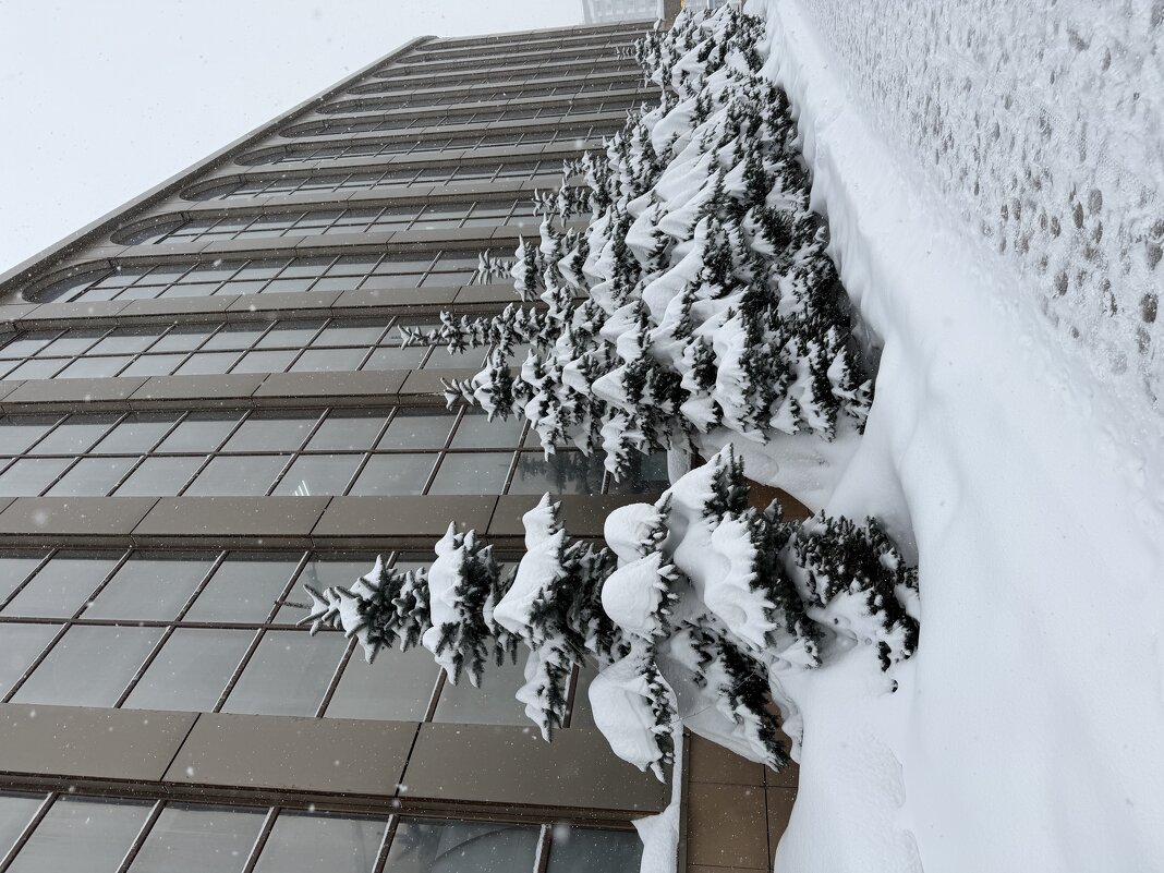 Зима в городе - Pippa 