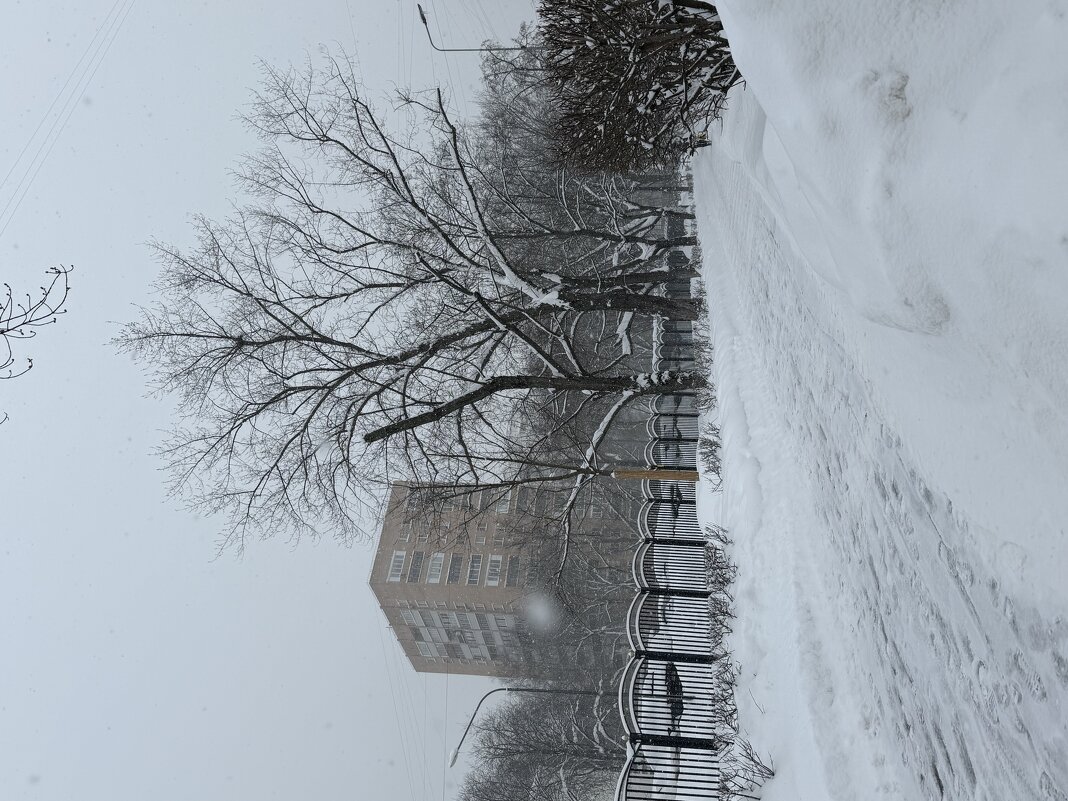 Зима в городе - Pippa 