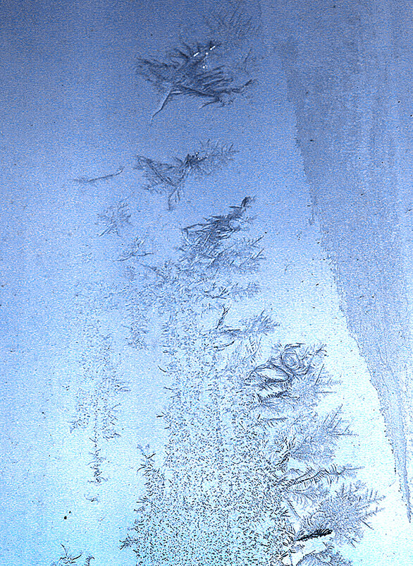 Мороз рисует на стекле.. - Светлана 